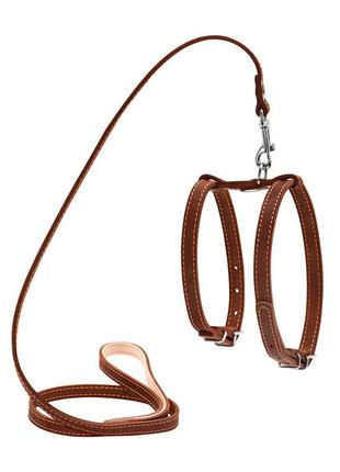 Шлея "collar" з повідцем для дрібних собак (ширина 14 мм, а:27-35 см, в:35-45 см, довжина 122 см) коричневий