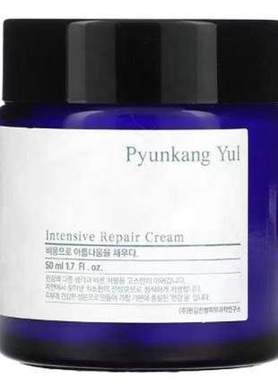 Pyunkang yul, крем для інтенсивного відновлення, 50 мл