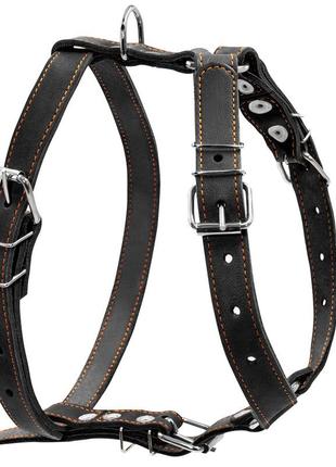 Шлея "collar" одинарна (ширина 25 мм, а:49-68 см, в:68-80см) чорний
