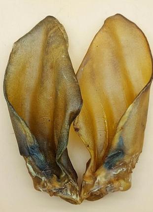 Лакомство ухо говяжье фауна - 18-20 см