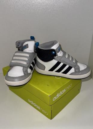 Кросівки, хайтопи adidas 21р., 14.1см