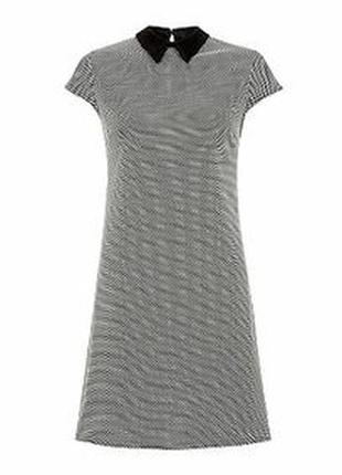 Сукня shift шифт футляр з контрастним коміром від new look