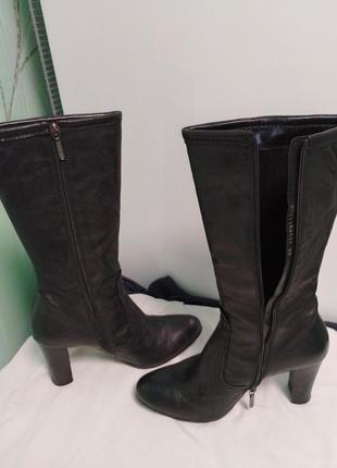 Сапоги женские б/в натуральная кожа, бренд" carlo pazolini"