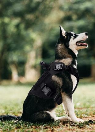 Тактическая шлейка, жилет с ручкой для патрульных и домашних собак черного цвета3 фото