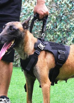Тактическая шлейка, жилет с ручкой для патрульных и домашних собак черного цвета6 фото