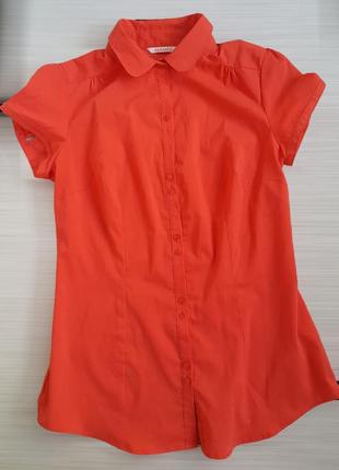 Яскрава бавовняна помаранчева коралова сорочка