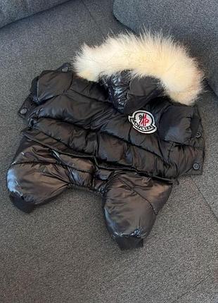 Брендовый зимний комбинезон для собак moncler , черный