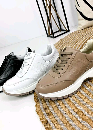 Кросівки. 3 кольори!