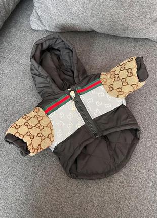Брендовая зимняя куртка для собак gucci с капюшоном на змейке, с джинсовыми рукавами, светодиодная вставка,1 фото