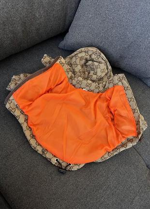 Брендова зимова куртка для собак gucci з капюшоном на змійці, із шовковою підкладкою, бежева5 фото