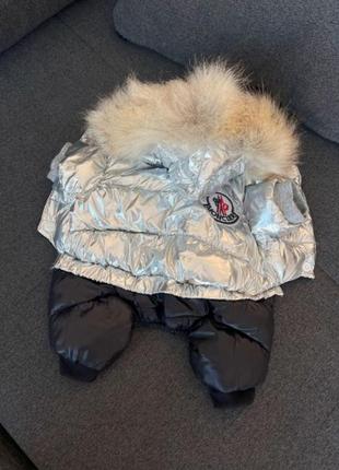 Брендовий зимовий комбінезон для собак moncler, срібний