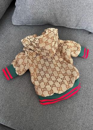 Брендовая джинсовая курточка для собак gucci с красно-зелеными резинками по краям, на змейке, с капюшоном,1 фото