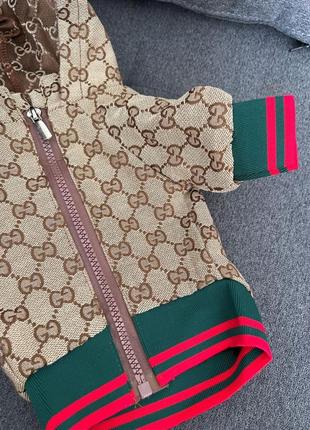 Брендовая джинсовая курточка для собак gucci с красно-зелеными резинками по краям, на змейке, с капюшоном,4 фото