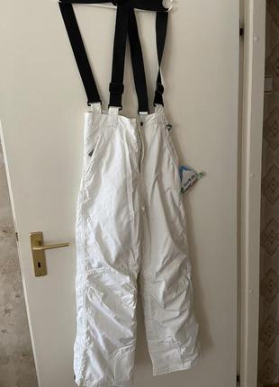 Лижні штани