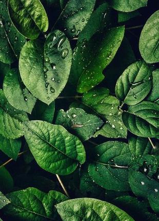 Фотофон виниловый для предметной съемки № 430