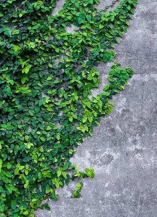 Фотофон вініловий для предметної зйомки № 431