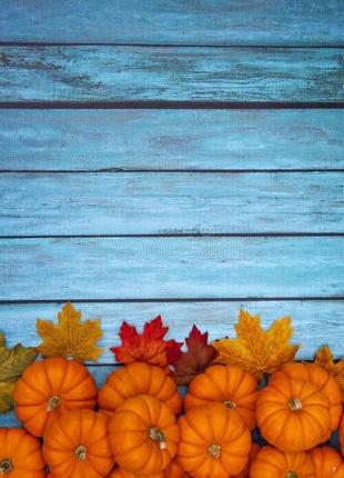 Фотофон вініловий для предметної зйомки № 522