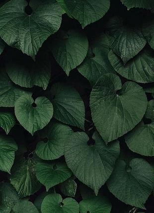 Фотофон виниловый для предметной съемки № 429