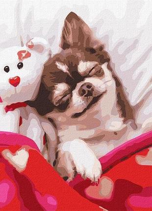 Картина по номерам спящая красавица щенок кно42771 фото