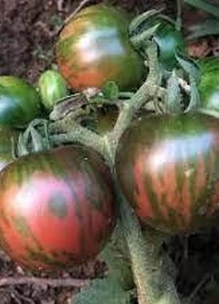 Семена томата чёрный вернисаж