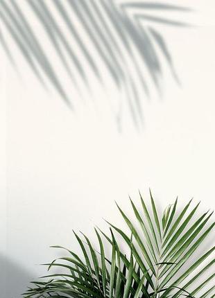 Фотофон вініловий для предметної зйомки № 438