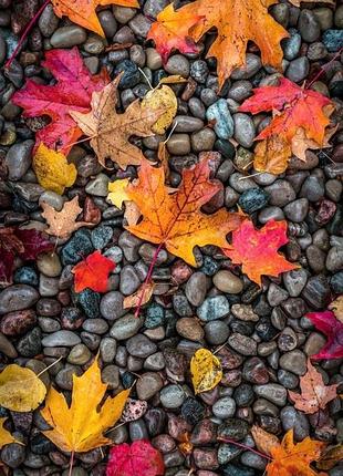 Фотофон виниловый для предметной съемки № 356