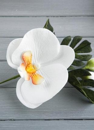 Бутоньерка с  белой орхидеей и листьями монстеры для жениха и свидетелей4 фото