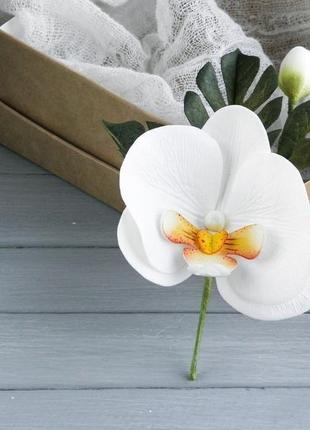Бутоньєрка з білої орхідеєю і листям монстери для нареченого та свідків2 фото