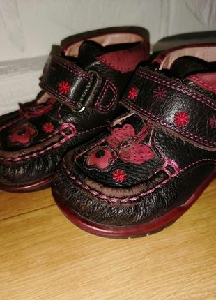 Боніночки clarks