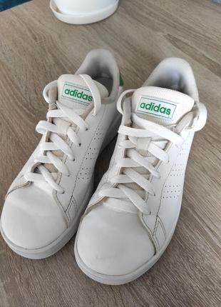 Кеди adidas