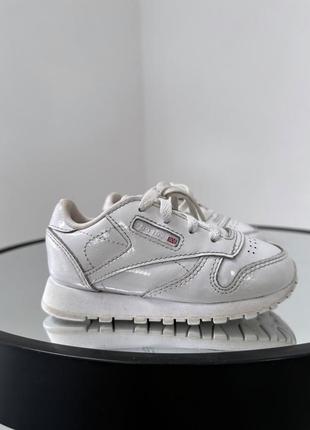 Актуальные классические кроссовки reebok classic