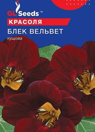Насіння красолі блек вельвет (1г), for hobby, tm gl seeds