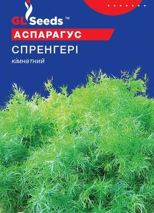 Насіння аспарагусу спренгері (0.1г), for hobby, tm gl seeds