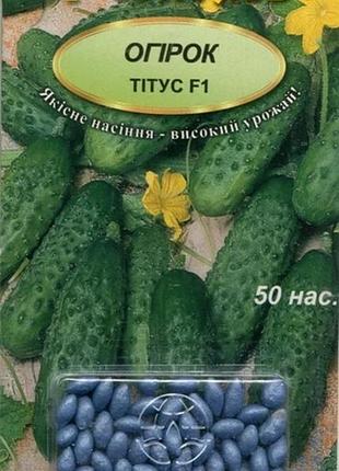 Насіння огірок тітус f1 (дражоване) 50 насінин свитязь