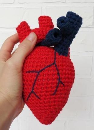 Реалистичное сердце, подарок на день влюбленных, анатомическое вязаное сердце, подарок медику1 фото