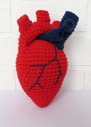Реалистичное сердце, подарок на день влюбленных, анатомическое вязаное сердце, подарок медику3 фото