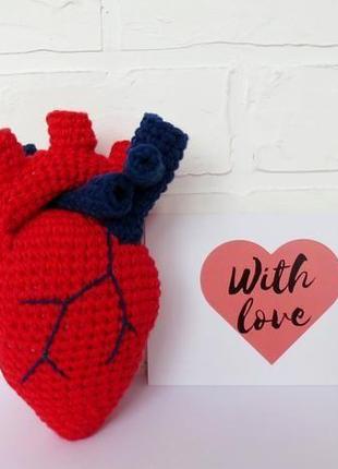 Реалистичное сердце, подарок на день влюбленных, анатомическое вязаное сердце, подарок медику2 фото