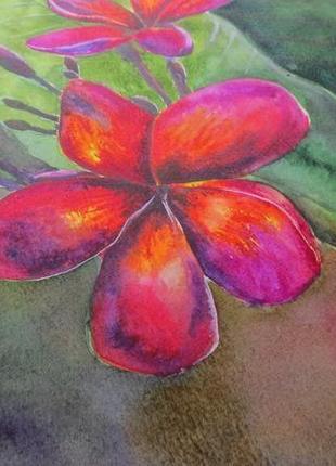 Тропические цветы франжипани картина акварелью. подарок на новоселье, годовщину, юбилей9 фото