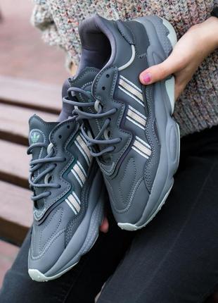Кросівки adidas ozweego gray кроссовки