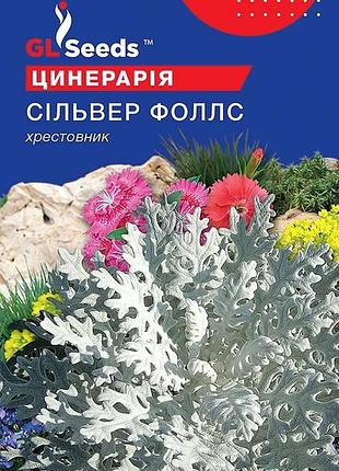 Насіння цинерарiї сiльвер фоллс (0.1г), for hobby, tm gl seeds