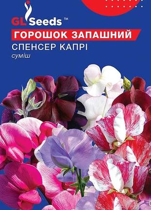 Насіння горошку запашного спенсер капрі (1г), for hobby, tm gl seeds