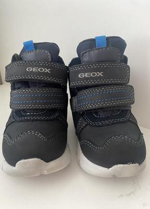 Демисезонные ботинки, сапоги geox, 22 размер2 фото