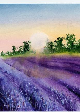 Акварель поле лаванды на закате
