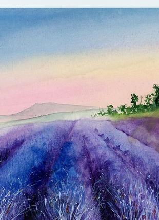 Акварель поле лаванды на закате