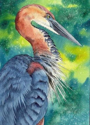 Акварель трехцветная цапля на ярко-зеленом фоне