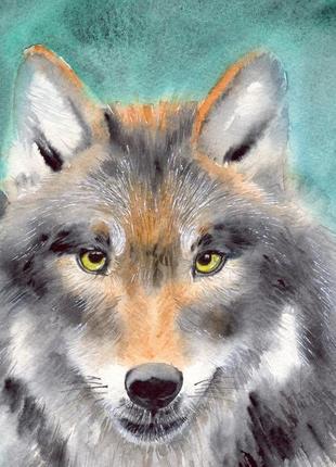 Акварель серый волк на изумружном фоне3 фото