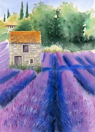 Акварель поле цветущей лаванды