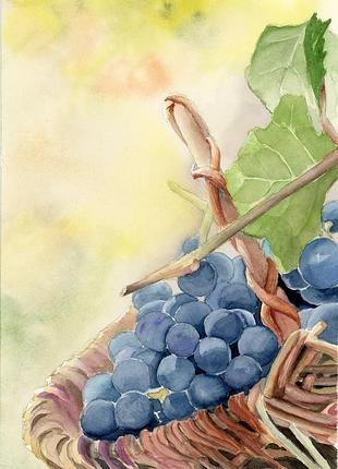 Акварель кошик з виноградом