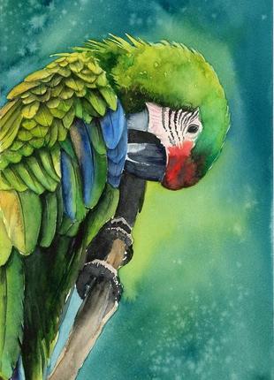 Акварель экзотический зеленый попугай