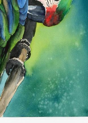 Акварель экзотический зеленый попугай4 фото